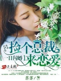 一日闪婚：捡个总裁来恋爱