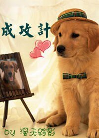 成攻计