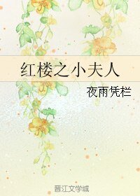 （BG/红楼同人）红楼之小夫人