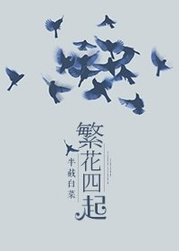 繁花四起/云泥之别